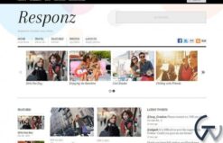 Themify Responz WordPress Theme 7.1.2