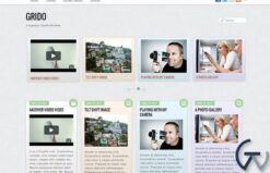 Themify Grido WordPress Theme 7.1.2