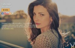 Themify Fullscreen WordPress Theme  7.1.2