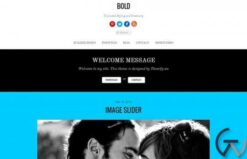 Themify Bold WordPress Theme 7.1.2