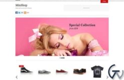 Themify Minshop WooCommerce Themes 7.1.3