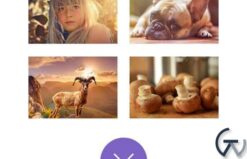 Themify Builder Infinite Posts Addon 3.0.2