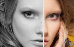 Themify Builder AB Image Addon 3.0.3