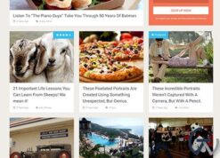 MyThemeShop SociallyViral WordPress Theme 2.4.9