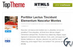 MyThemeShop Top WordPress Theme 1.1.13