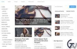 MyThemeShop Split WordPress Theme 1.1.3