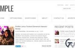 MyThemeShop Simple WordPress Theme 1.1.11