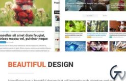 MyThemeShop NewsPaper WordPress Theme 2.3.14