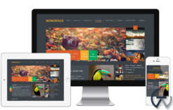 MyThemeShop Monospace WordPress Theme 1.91