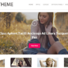 MyThemeShop Style WordPress Theme