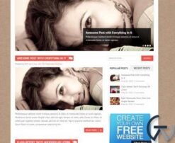 MyThemeShop Saturation WordPress Theme 1.1.3