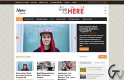 MyThemeShop NewsMag WordPress Theme 1.2.3