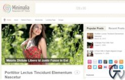MyThemeShop Minimalia WordPress Theme 1.2.8