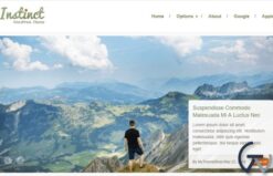 MyThemeShop Instinct WordPress Theme 1.0.8