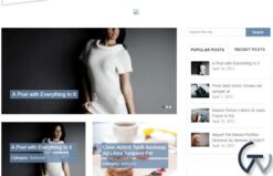 MyThemeShop Flick WordPress Theme 1.1.3