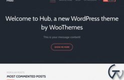 Woothemes Hub WooCommerce Themes 1.2.20