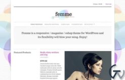 CSSIgniter Femme WordPress Theme 2.9