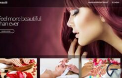CSSIgniter Beaute WordPress Theme 2.0.6
