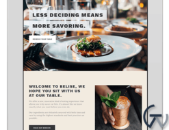 ThemeIsle Belise WordPress Theme 1.0.8