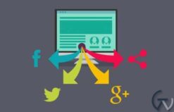 WPMU DEV Google plus WordPress Plugin 1.4.3