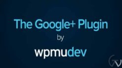 WPMU The Google+ Plugin 1.4.3