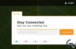 WPMU DEV Slide In 1.2