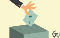 WPMU DEV Post Voting 2.2.5