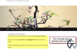 WPMU DEV Remove Email Verification 2.4.1