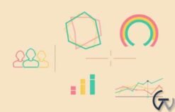 WPMU DEV User Activity 1.1