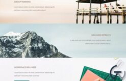 WPMU DEV Spirit 1.4.1