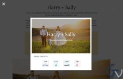 WPMU DEV Social Marketing 1.2.5