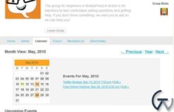 WPMU DEV BuddyPress Group Calendar 1.4.9