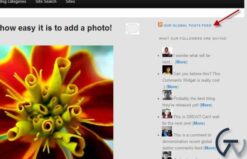 WPMU DEV Recent Global Posts Feed 3.1.1