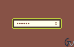 WPMU DEV Set Password 1.1.2.3