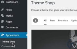 WPMU DEV Multisite Theme Manager 1.1.6