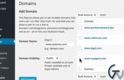 WPMU DEV Multi Domains 1.3.4.5