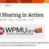 WPMU DEV Ad Sharing 1.2.1 2 1830537195 ad sharing example 559x360 1