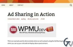 WPMU DEV Ad Sharing 1.2.1