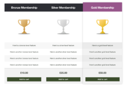 WooCommerce Storefront Pricing Tables 1.1.0