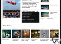 WooThemes The Journal Premium Theme 1.6.0