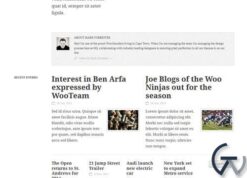 WooThemes Flipflop Premium Theme 1.1.1