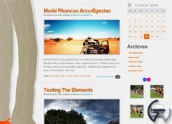 WooThemes F0101 Premium Theme 1.3.3