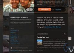 WooThemes Saving Grace Premium Theme 1.1.3
