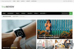 Theme Junkie TrueReview WordPress Theme 1.0.5