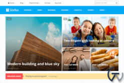 Theme Junkie SiteBox WordPress Theme 1.2.0