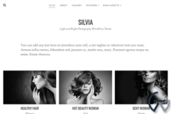 Theme Junkie Silvia WordPress Theme 1.0.9
