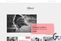 Theme Junkie Silver WordPress Theme 1.0.2