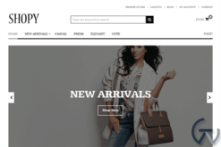 Theme Junkie Shopy WordPress Theme 1.0.3