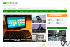 Theme Junkie Resizable WordPress Theme 1.0.6