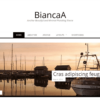 Theme Junkie BiancaA WordPress Theme 1.0.6 2 biancaa desktop